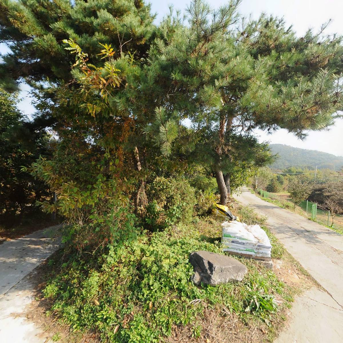 용연농장_3