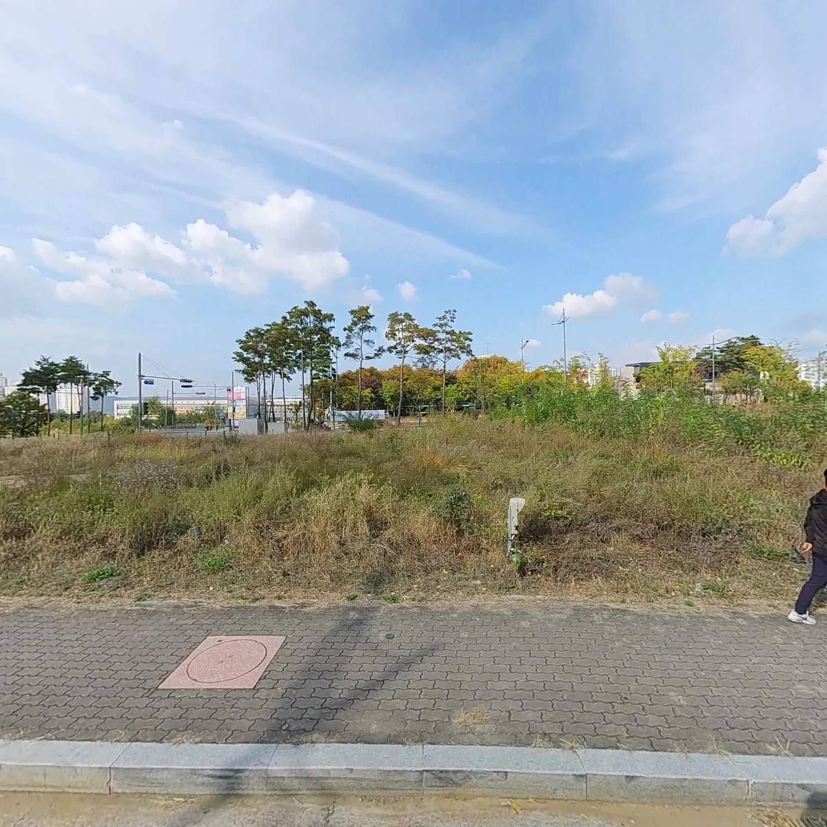 이지포레스트