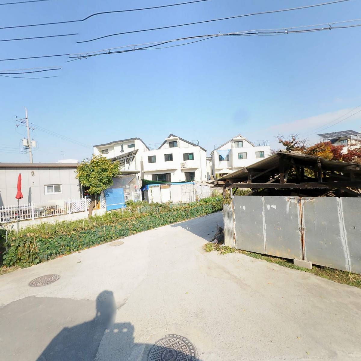주식회사 필로세