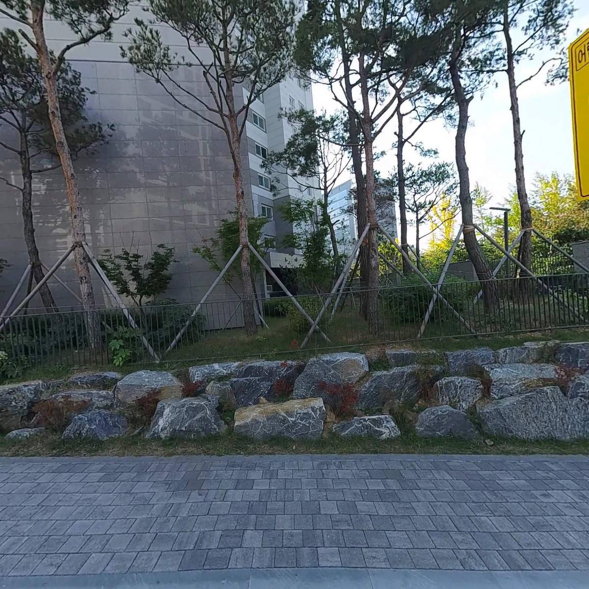롤카생