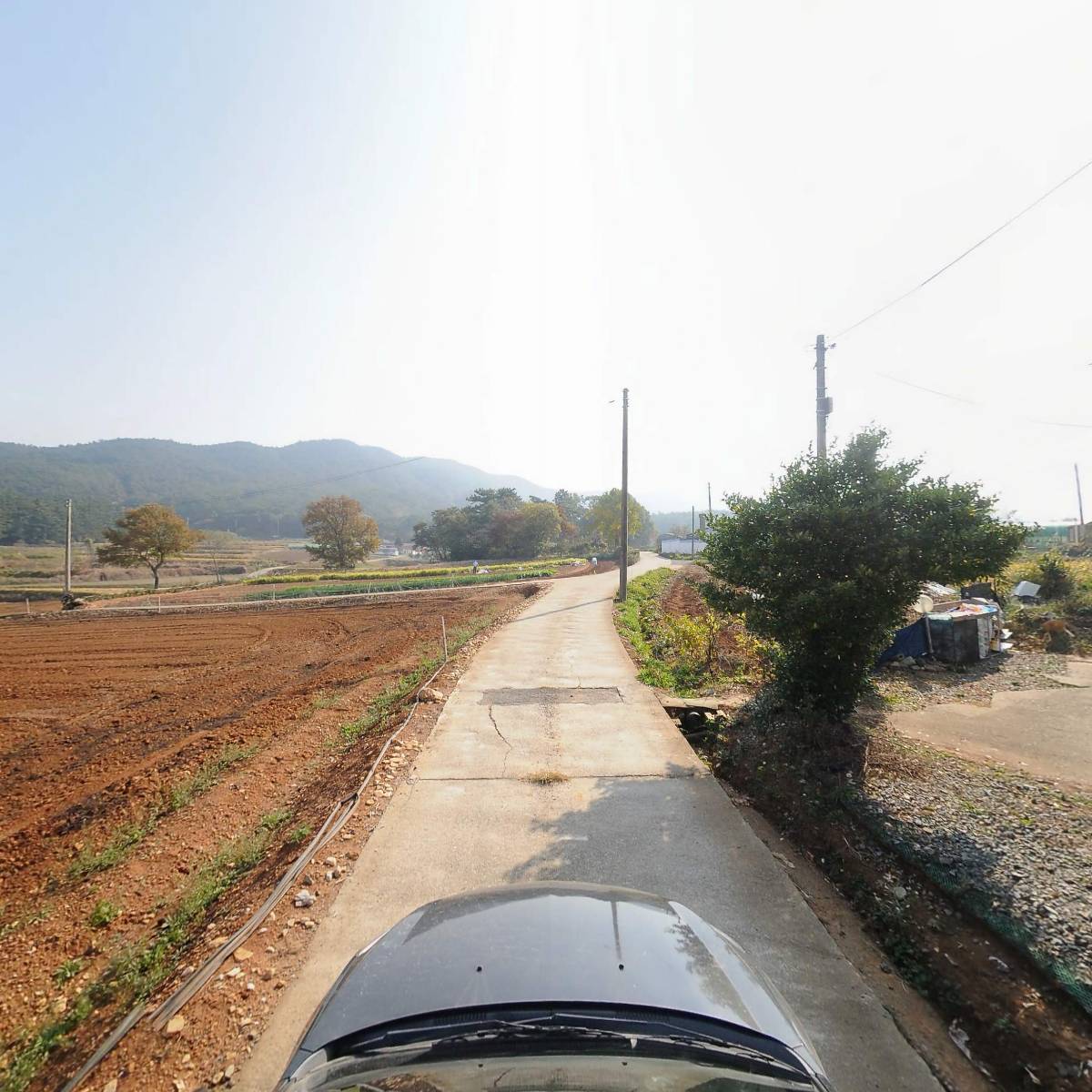 헌(heon)_4