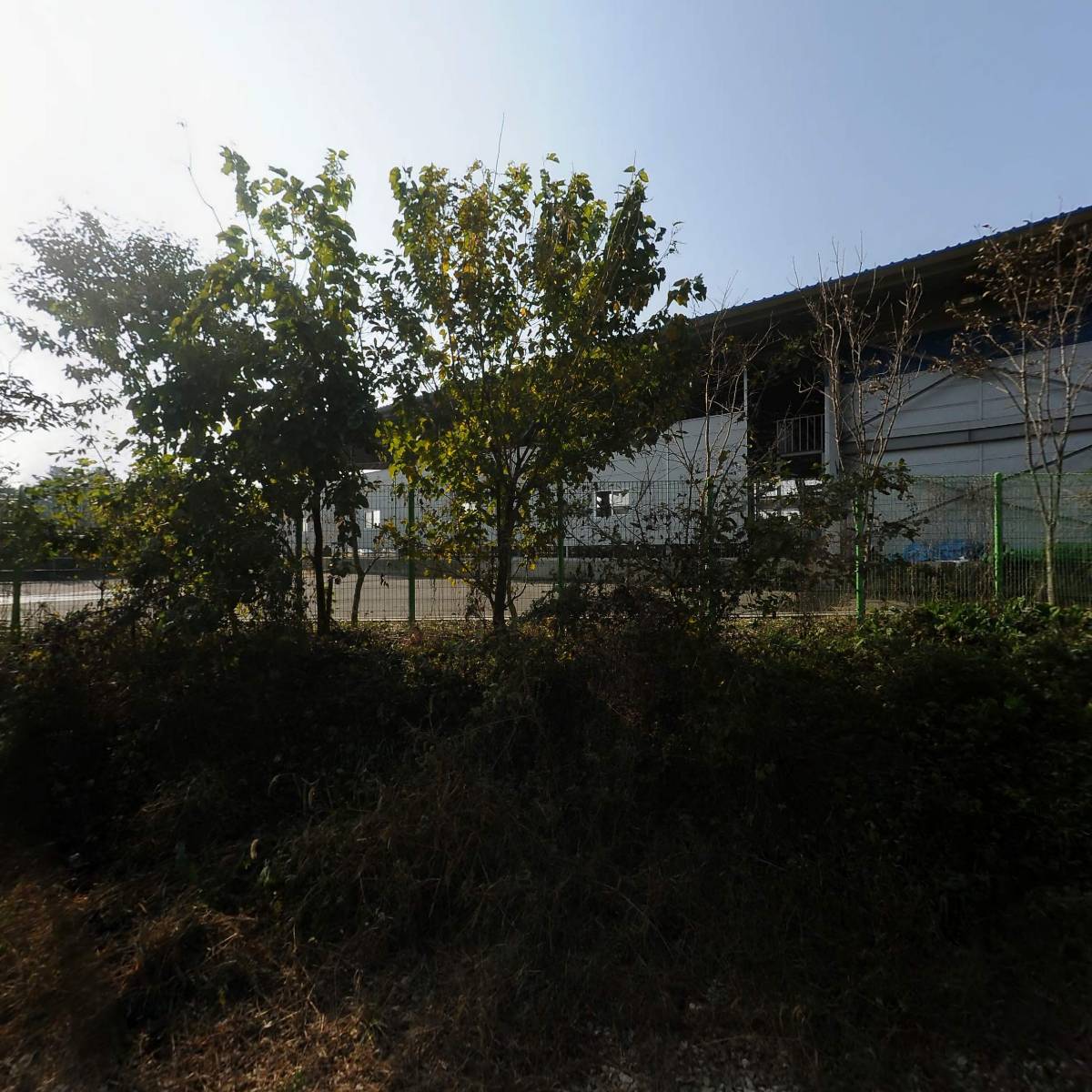 전주김제완주축산업협동조합 김제한우전자경매시장