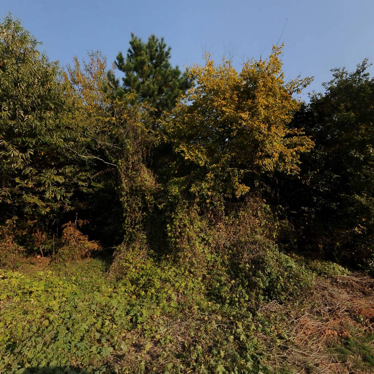 전주김제완주축산업협동조합 김제한우전자경매시장_3