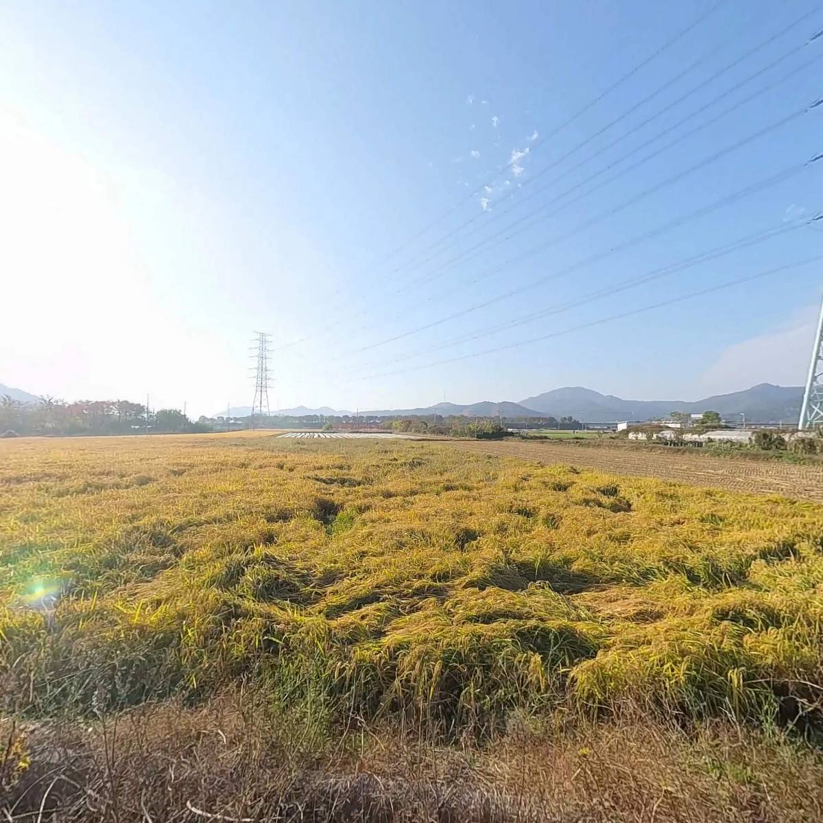 서한상사