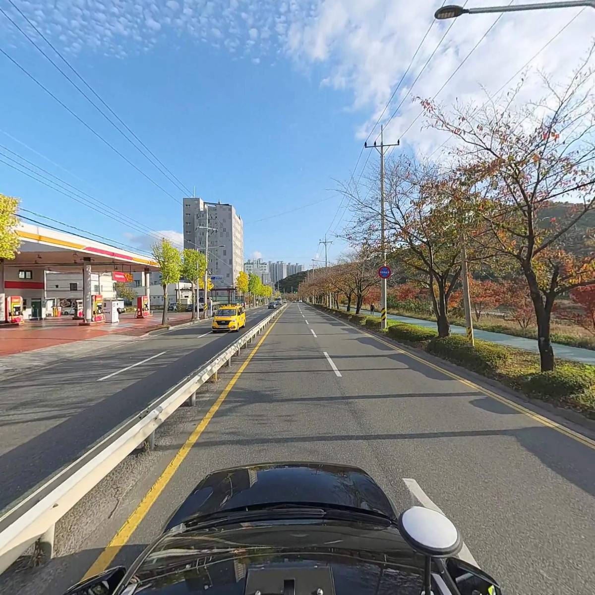 쌤프레반려동물협동조합_4