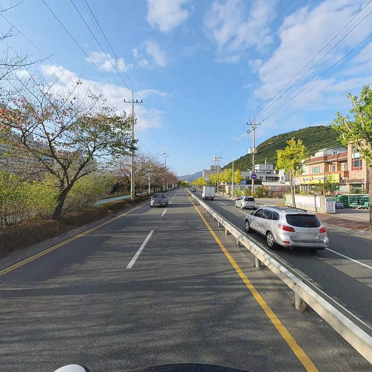 쌤프레반려동물협동조합_2