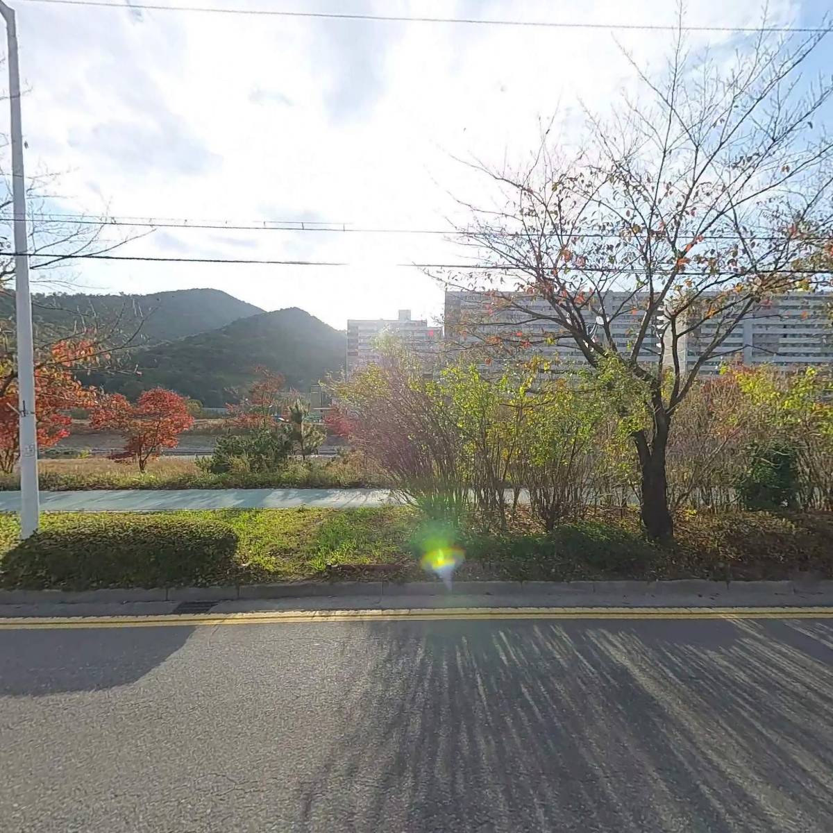 쌤프레반려동물협동조합