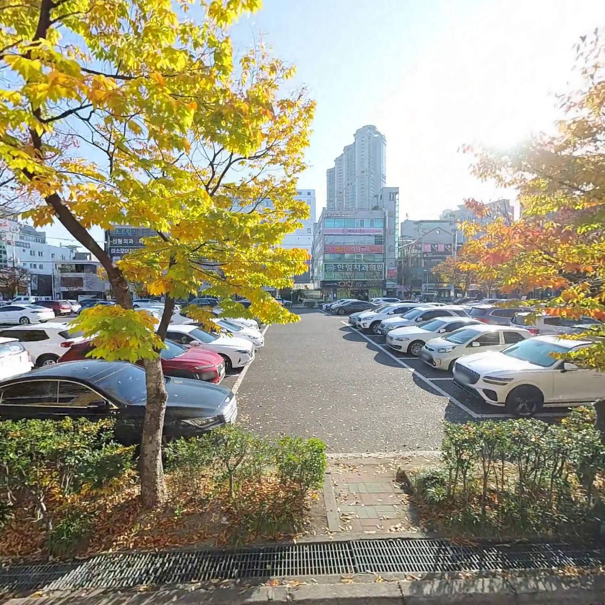 육장장이울산점