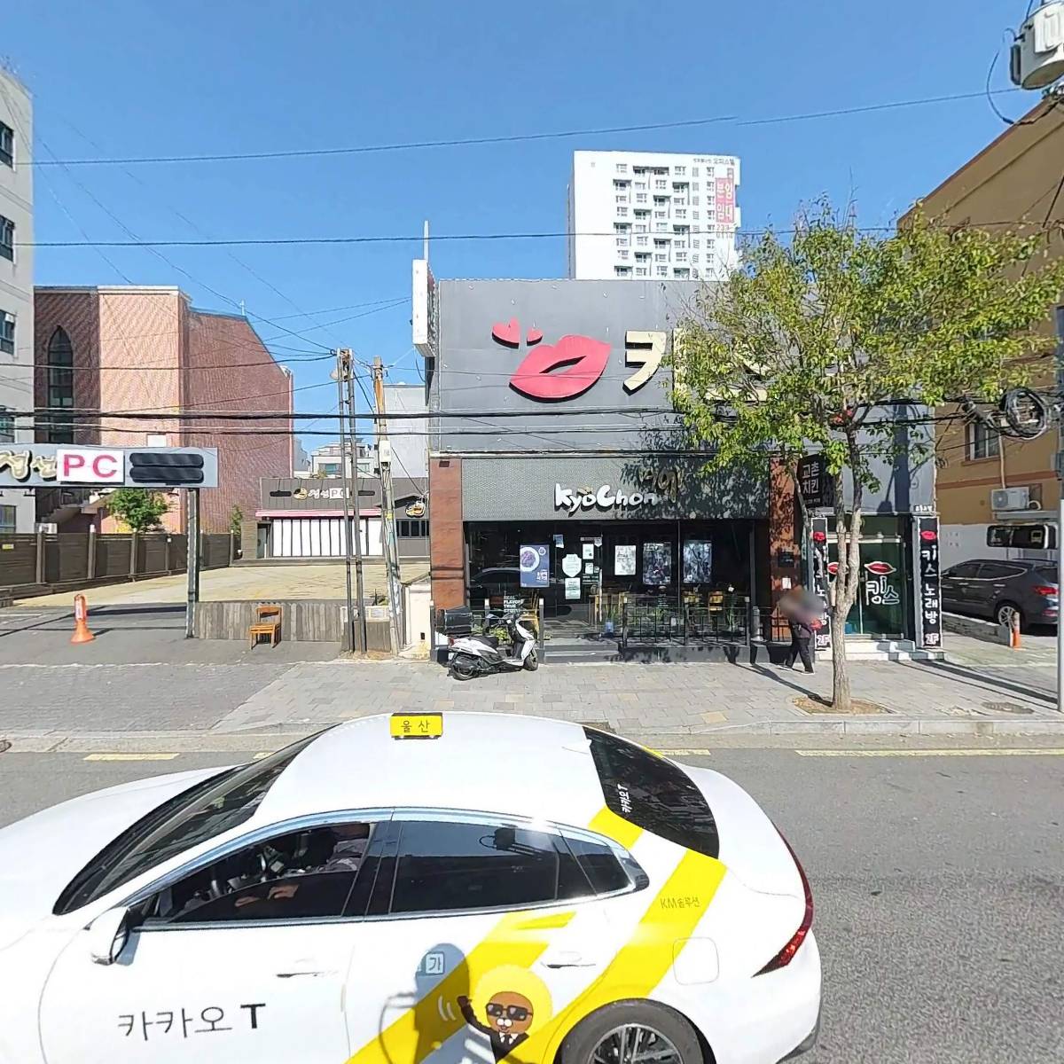 대왕꽃돼지_3