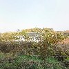 금산농산물유통사업단영농조합법인