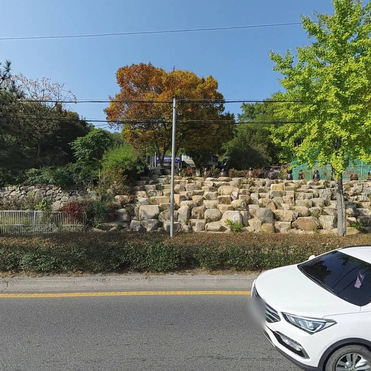 비둘기농원
