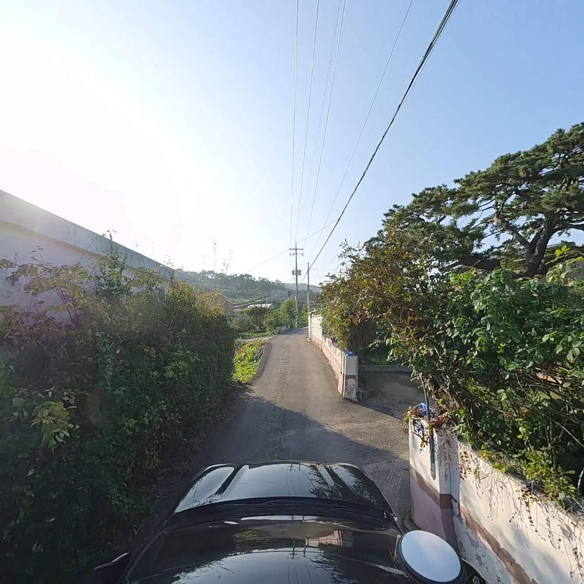 주전몽돌수산_4