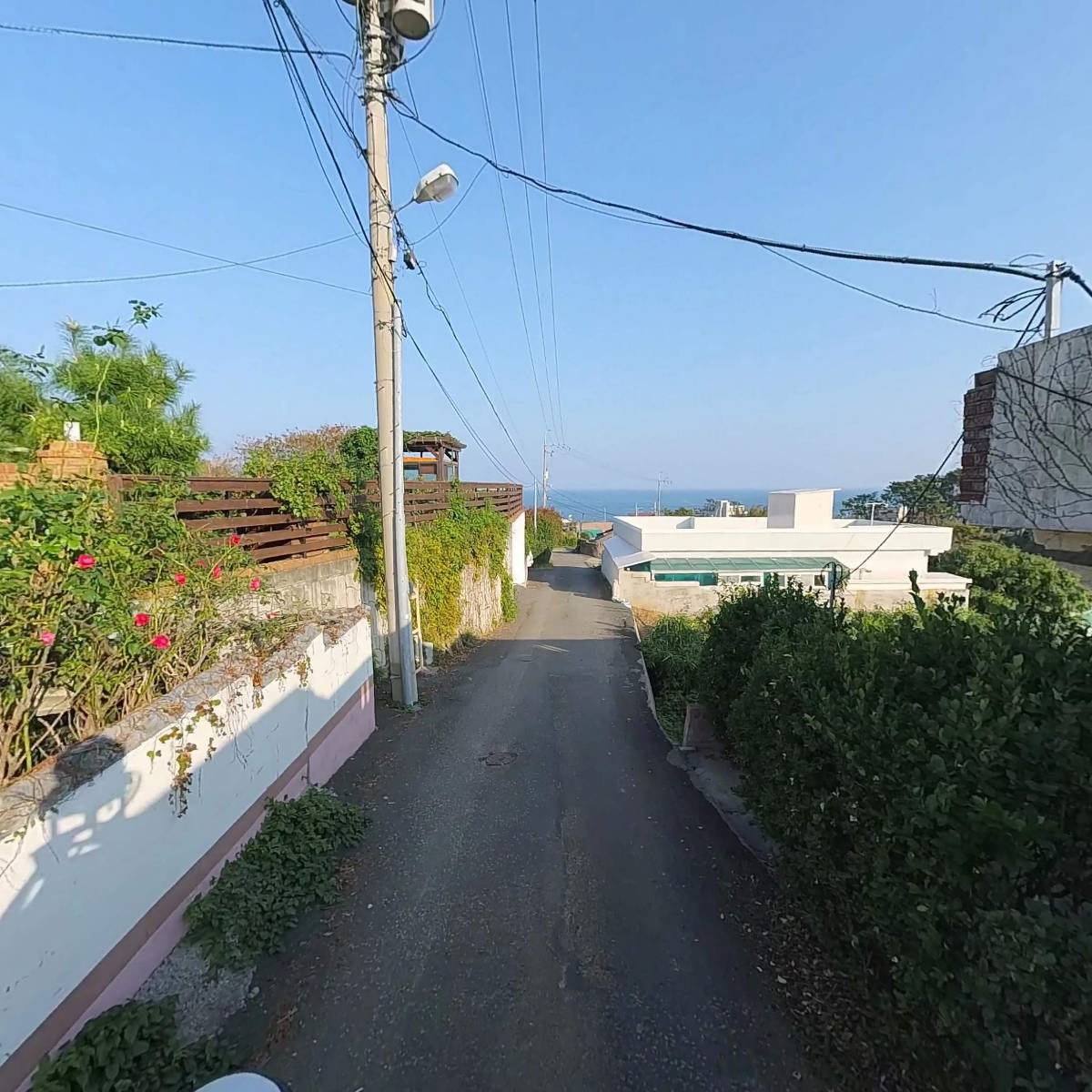 주전몽돌수산_2