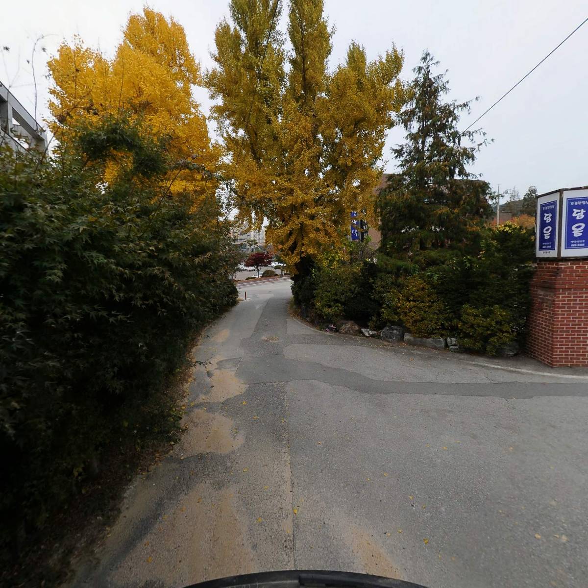 빈펄스커피로스터스_2