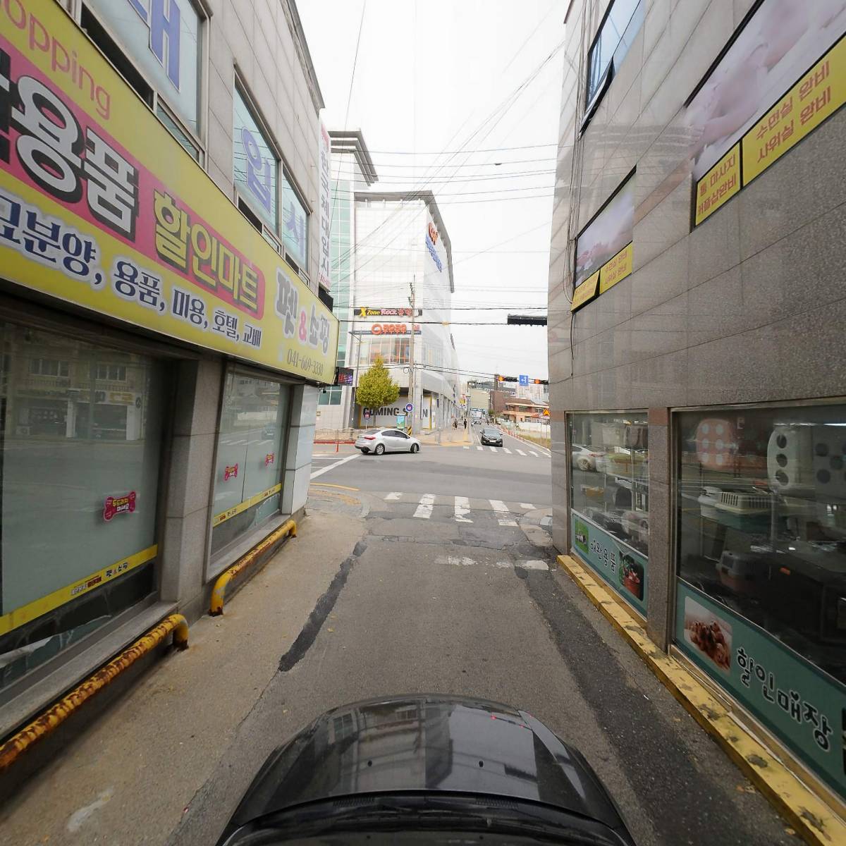 애견용품 할인매장_4
