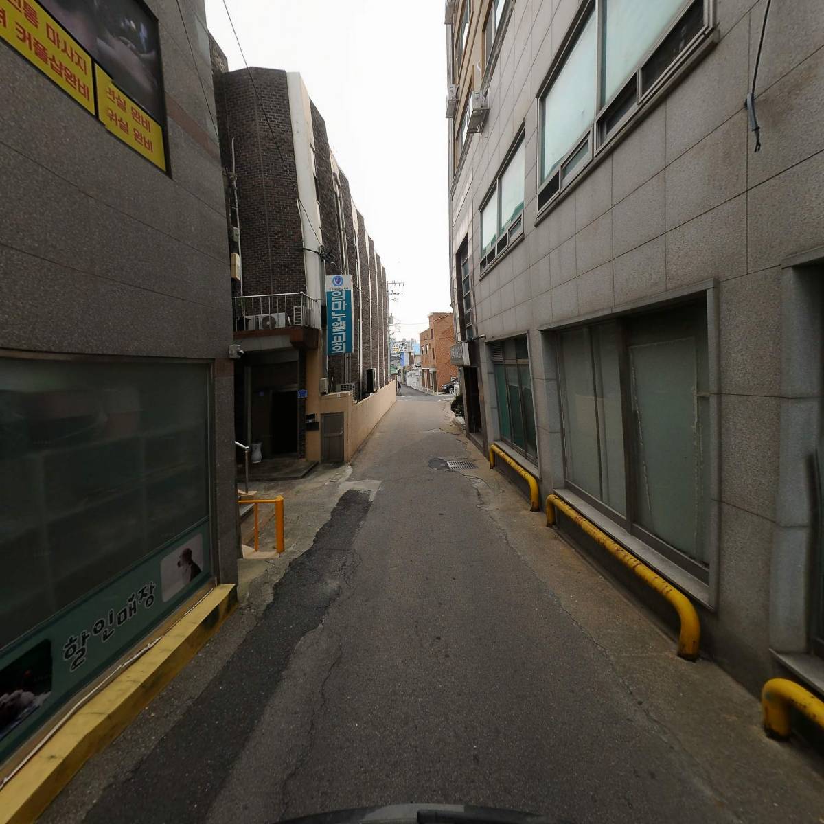 애견용품 할인매장_2
