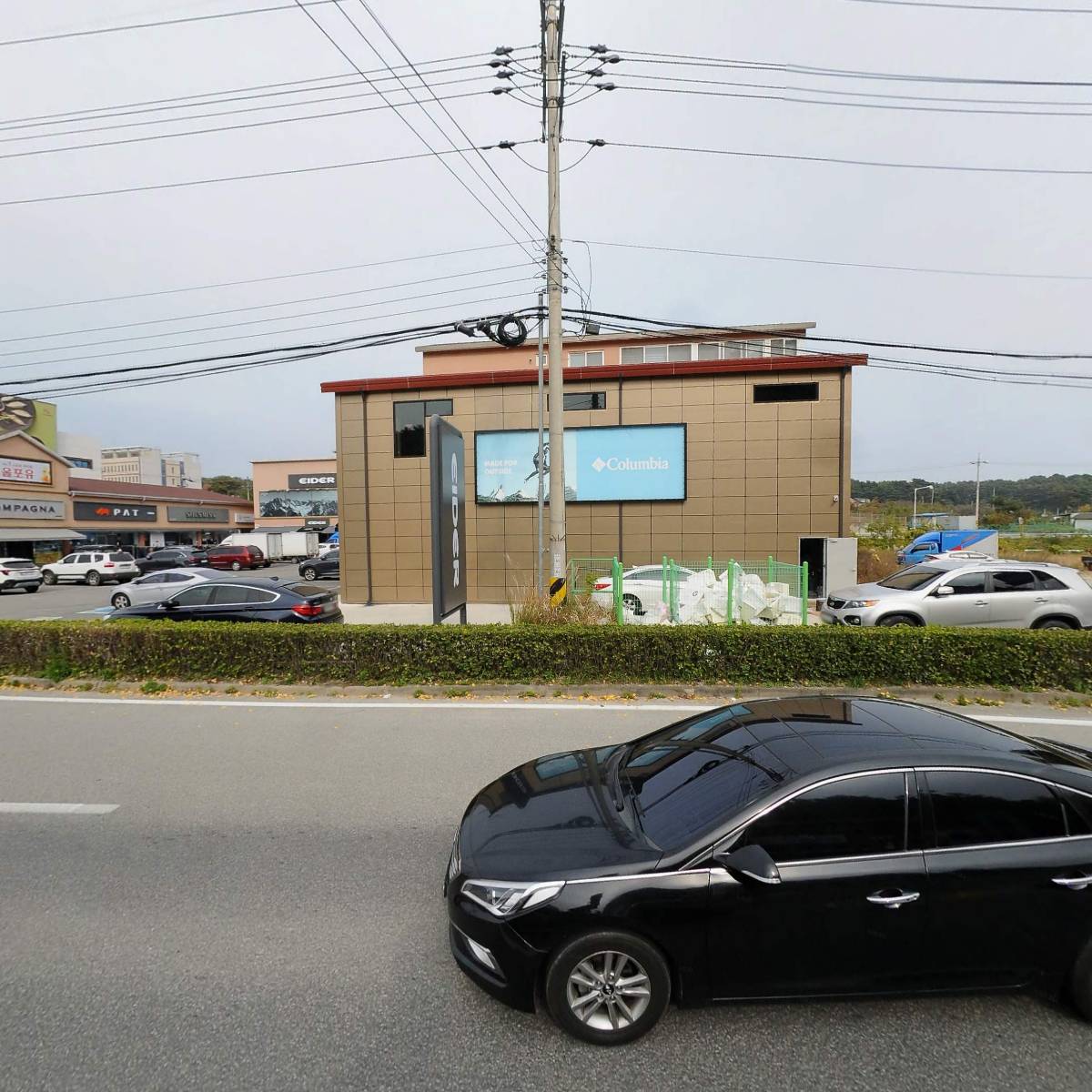 여성크로커다일 강릉죽헌점