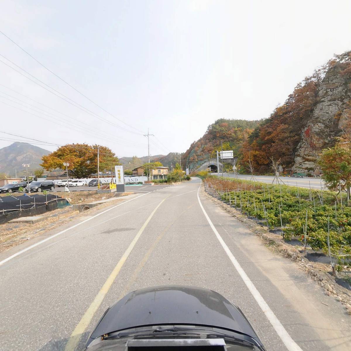 아일랜드(섬)_4