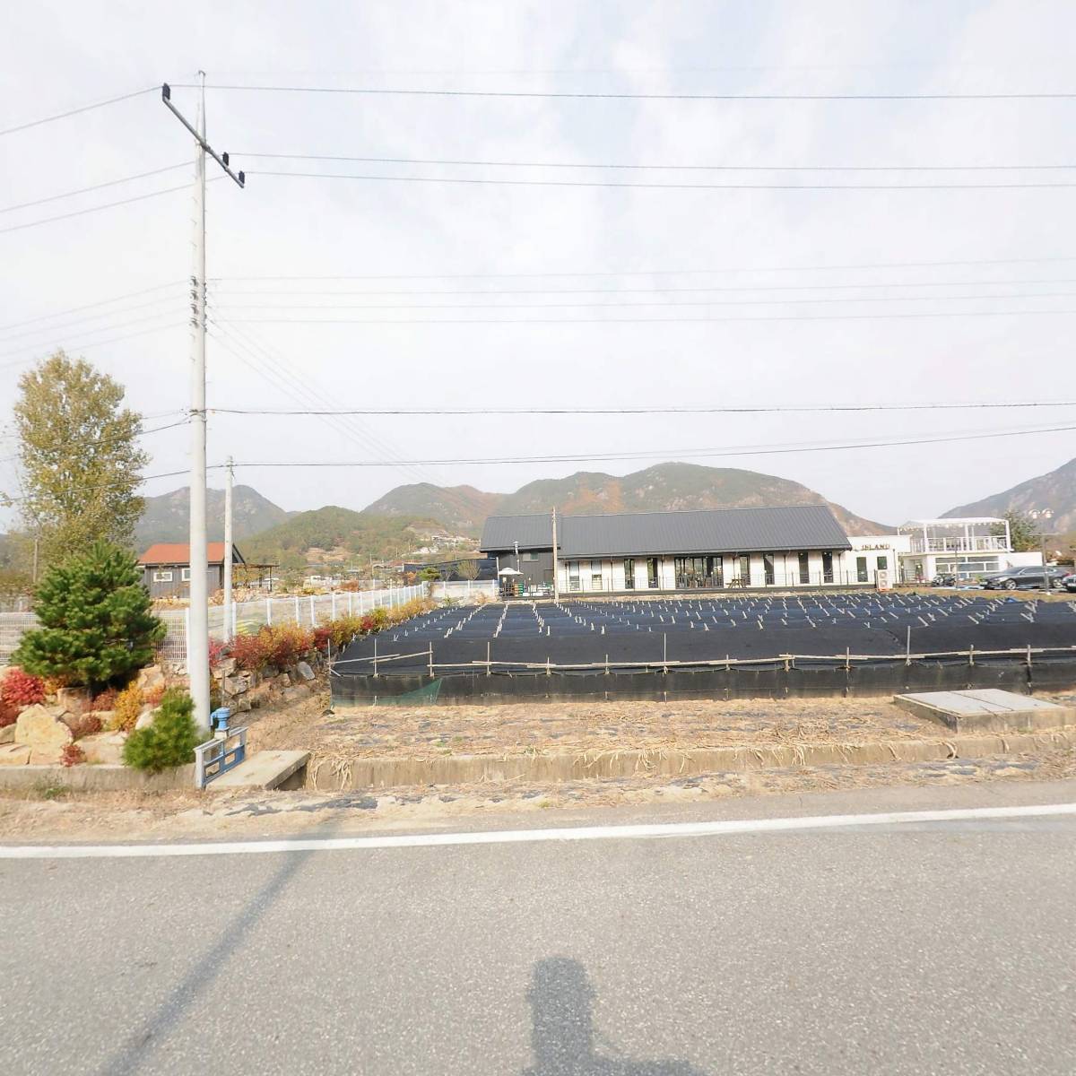 아일랜드(섬)_3