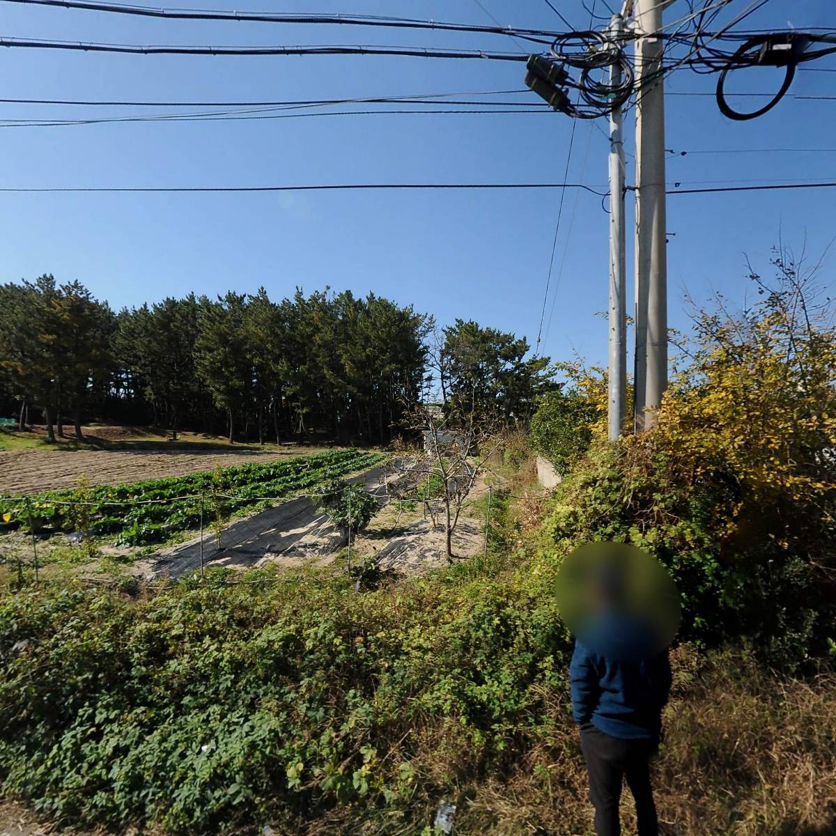 해변노래연습장