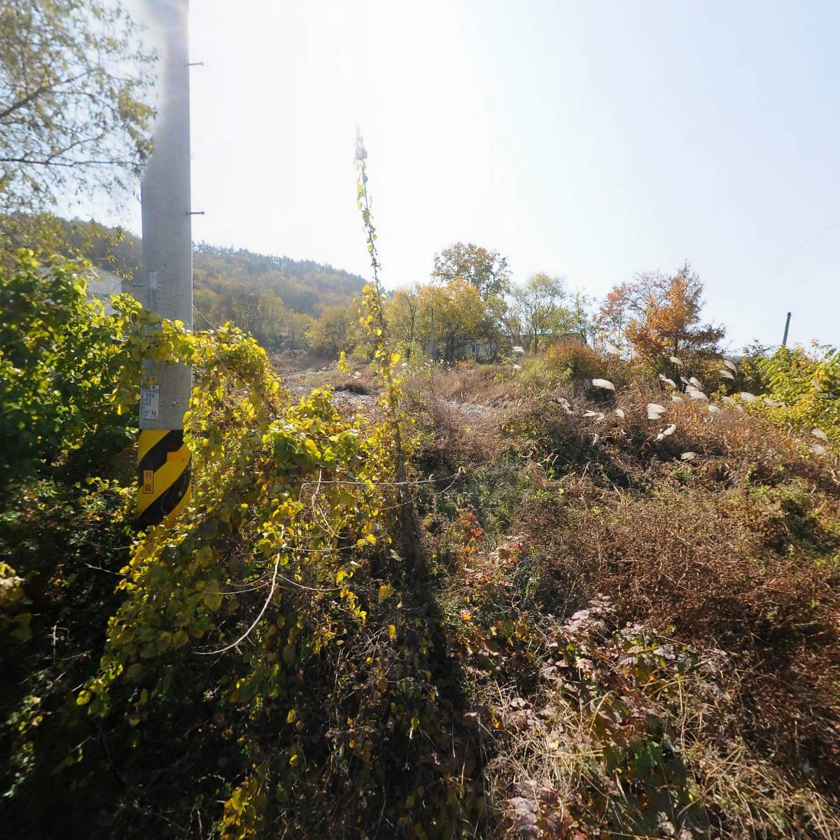 주식회사 엘씨에스_3