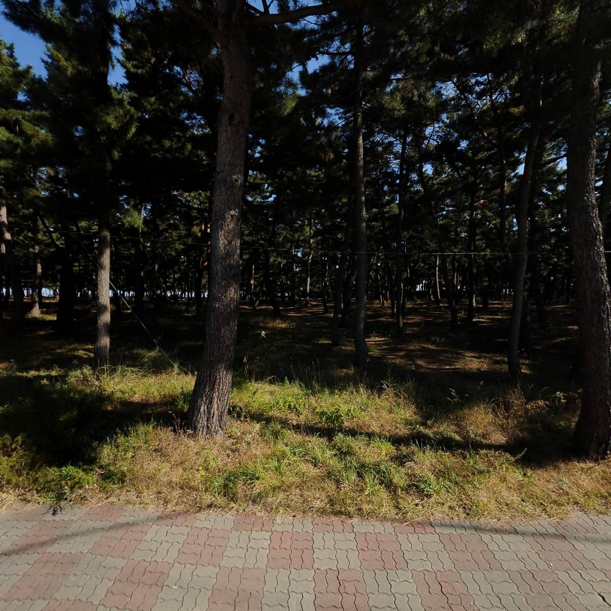 허씨커피(HU_C)