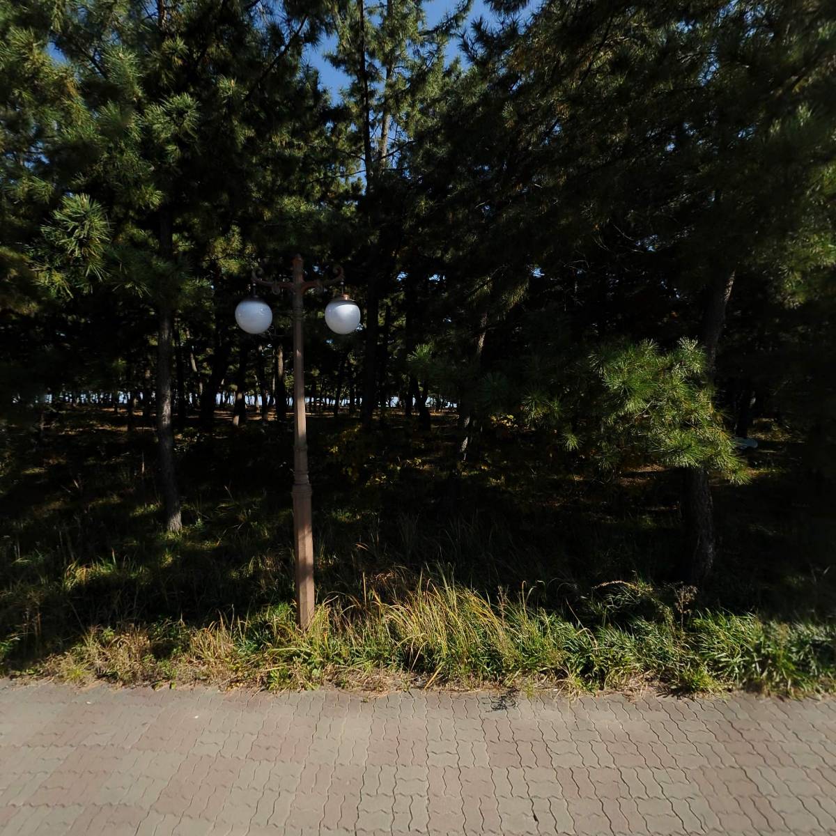 파라다이스호텔