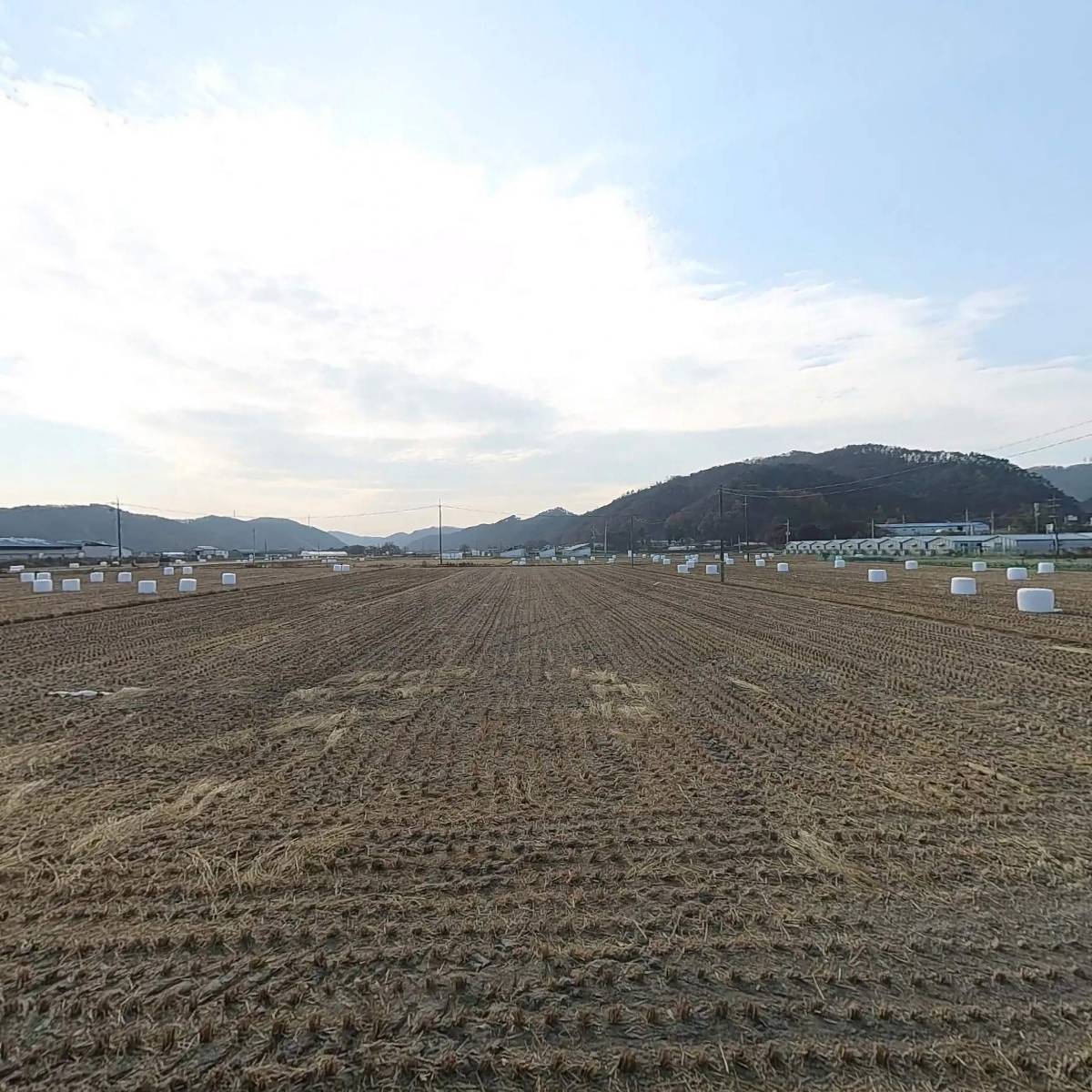 와사비식물공장 농업회사법인 주식회사