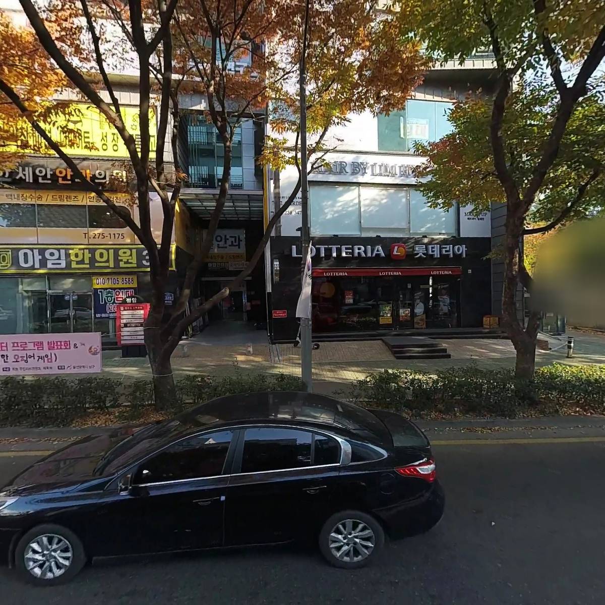 와튼킨디엘리어학원