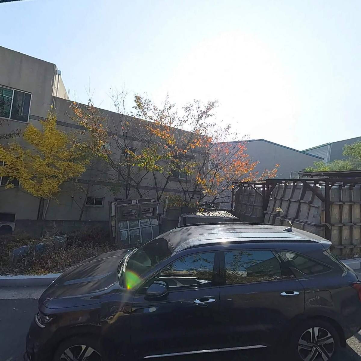 씨라인세이프티앤