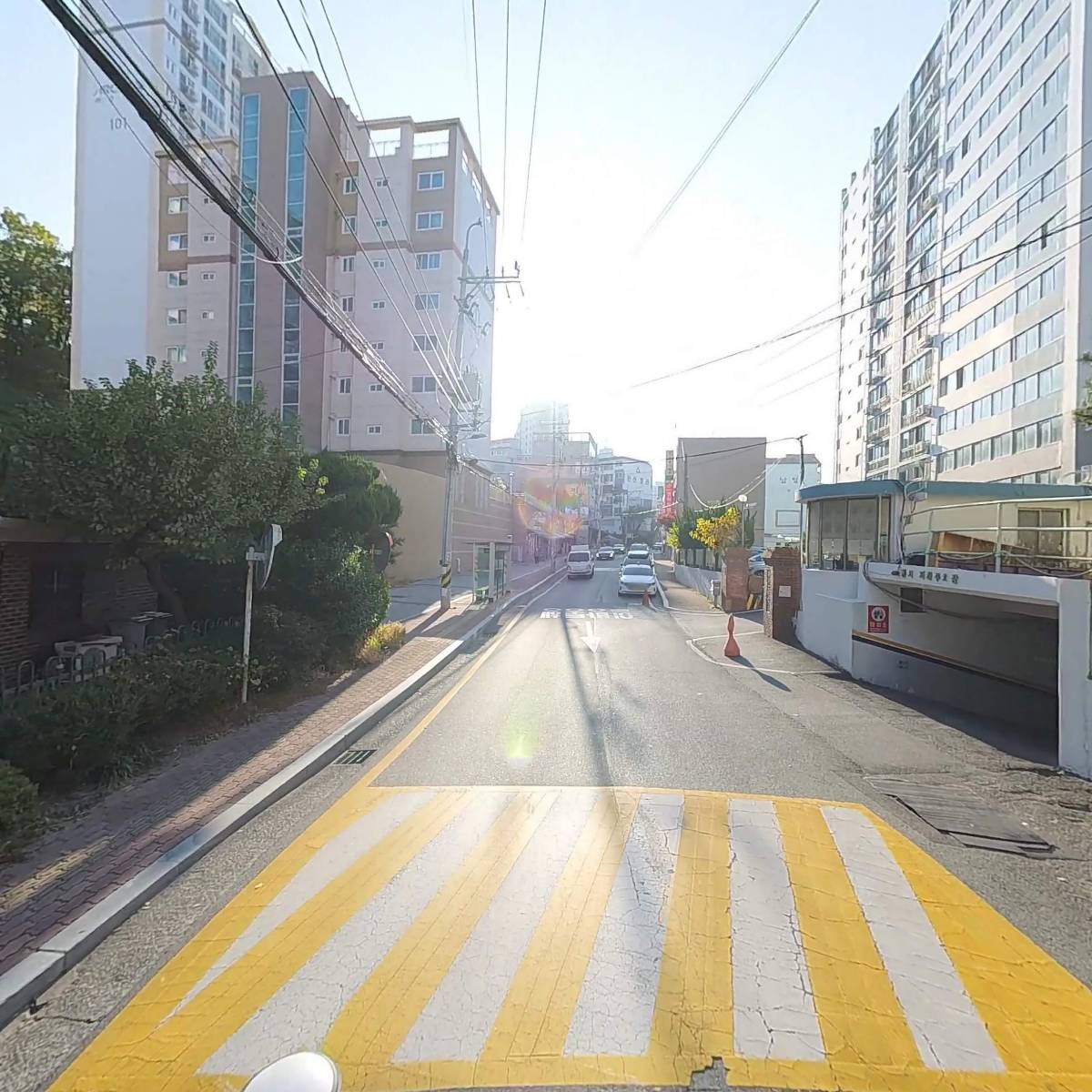 도로시헤어_2
