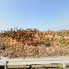 (주)현대푸드유통
