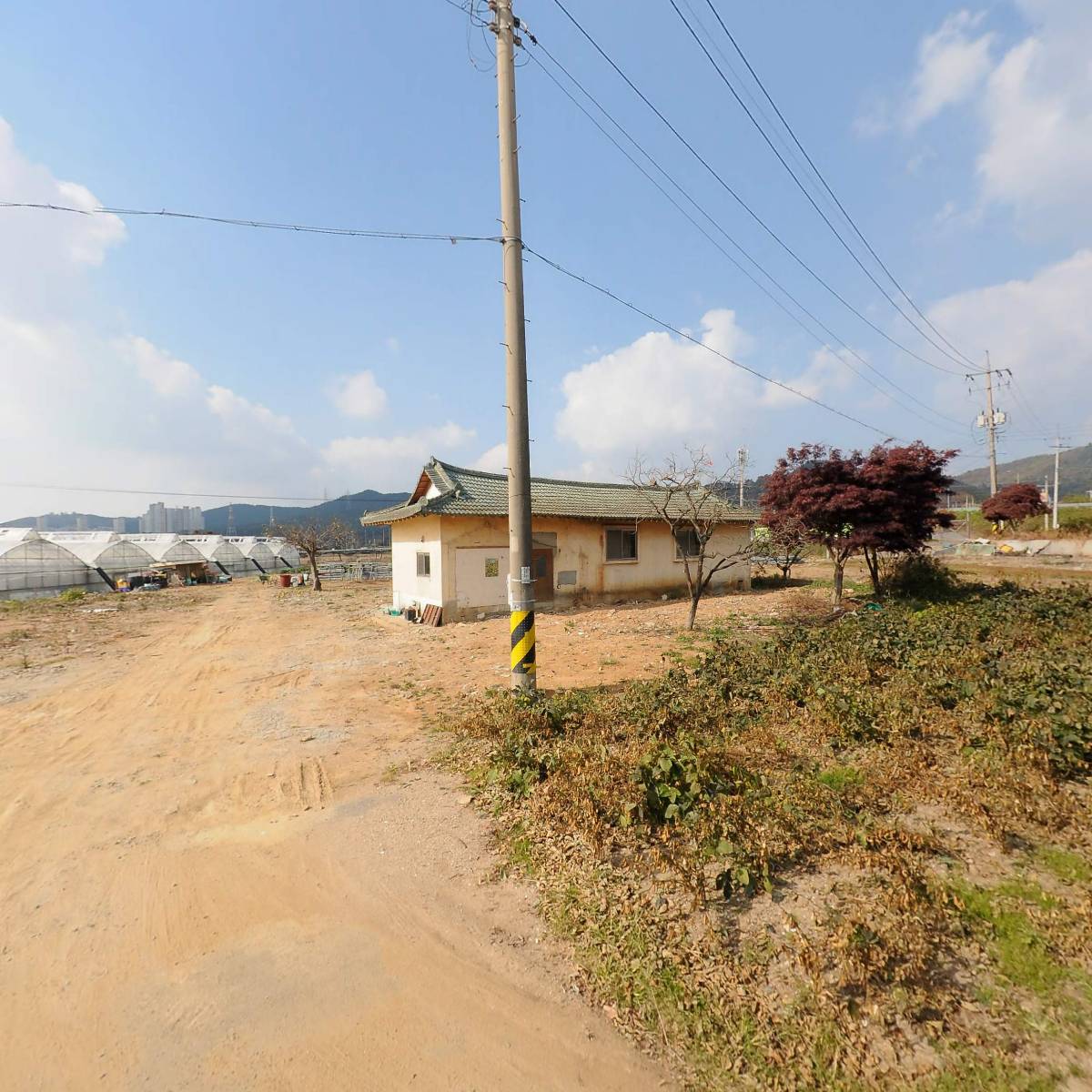 서산양란수출영농조합법인