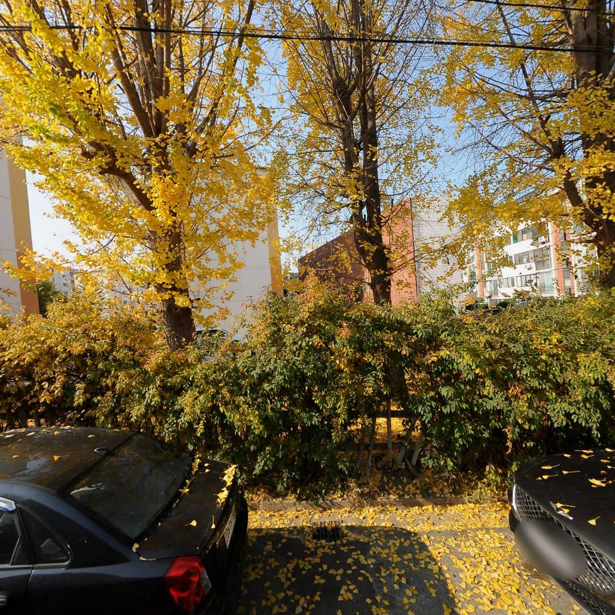 자담치킨포남점