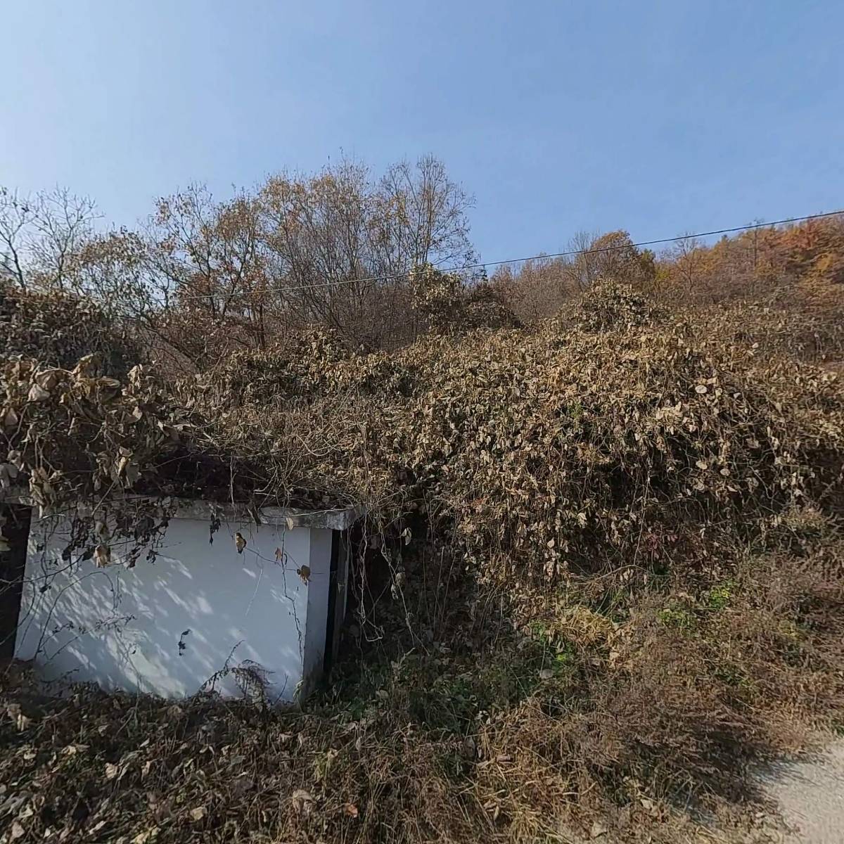 비앤더블유코리아모터스_3