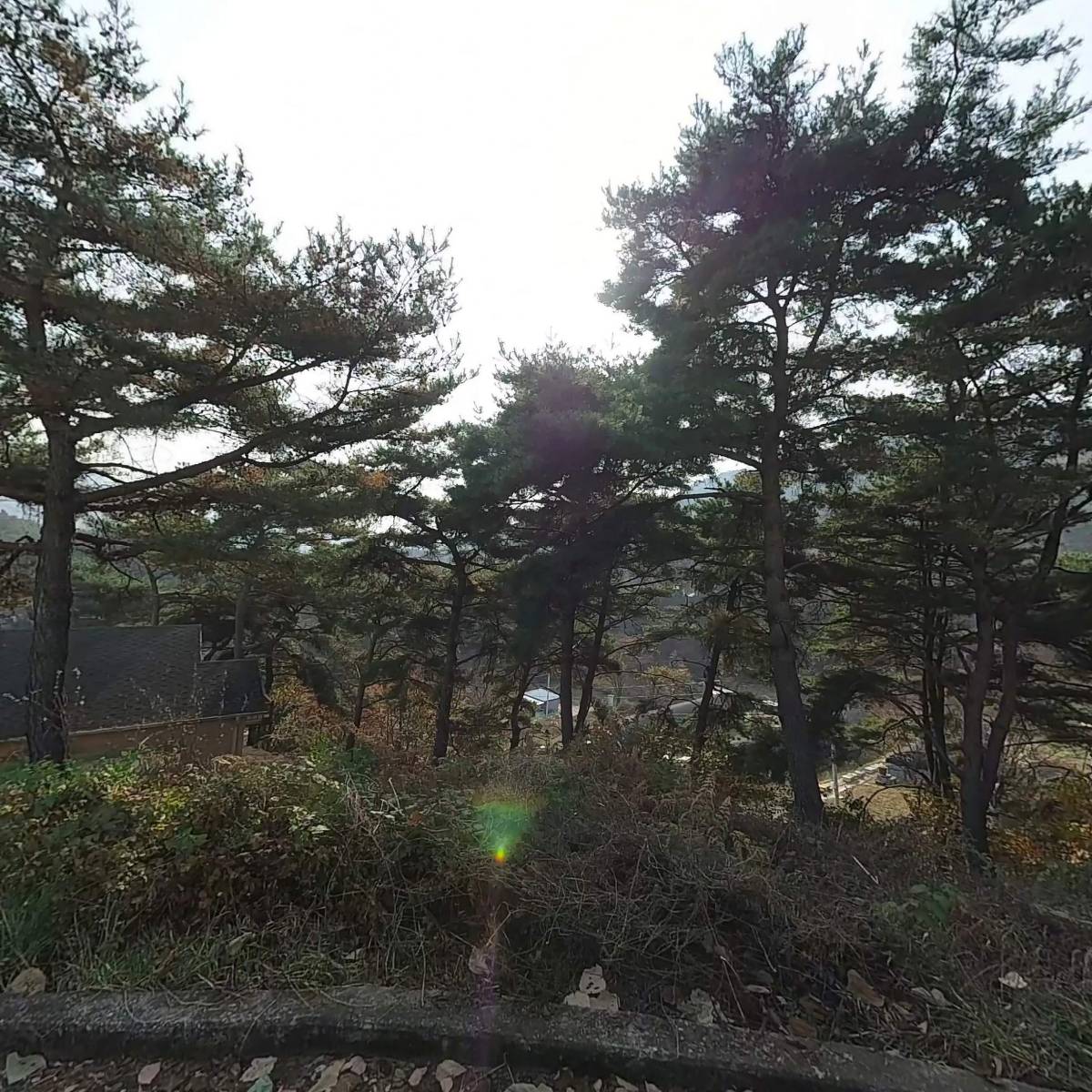 대한예수교장로회 야곱교회_3