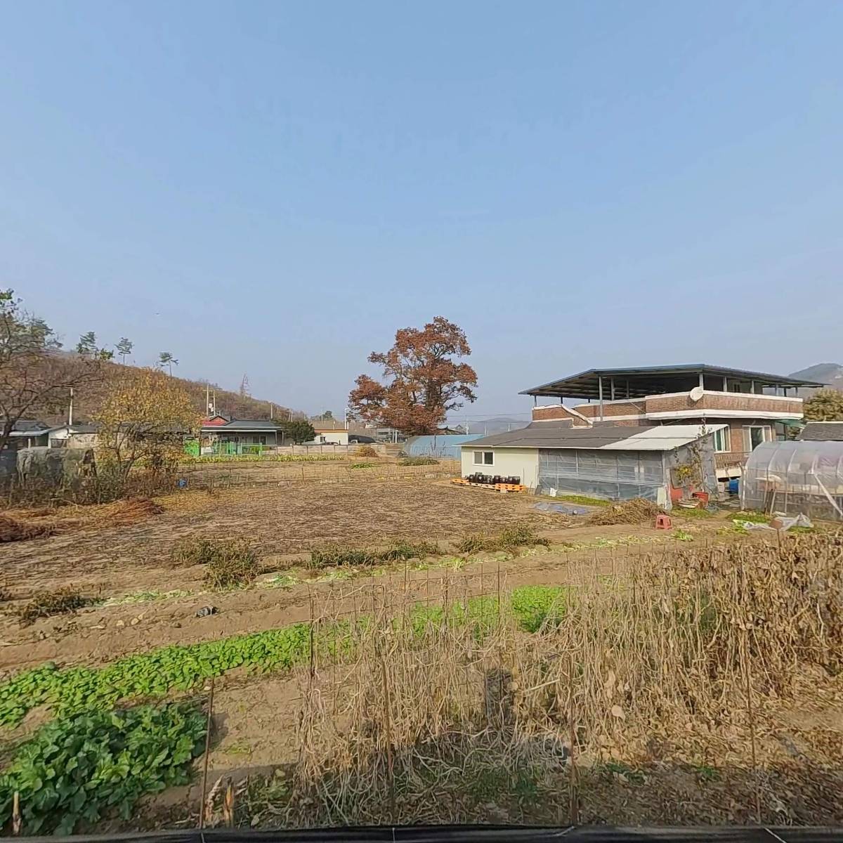 (주)플로닉스 주산지점