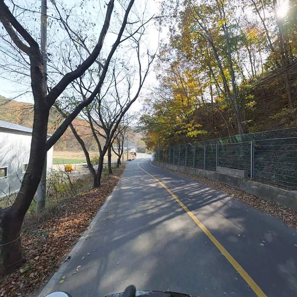 황토집굼벵이_2