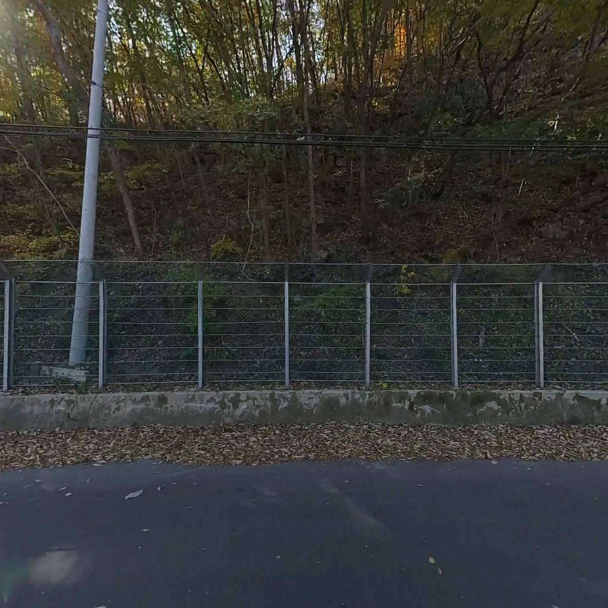 황토집굼벵이_3