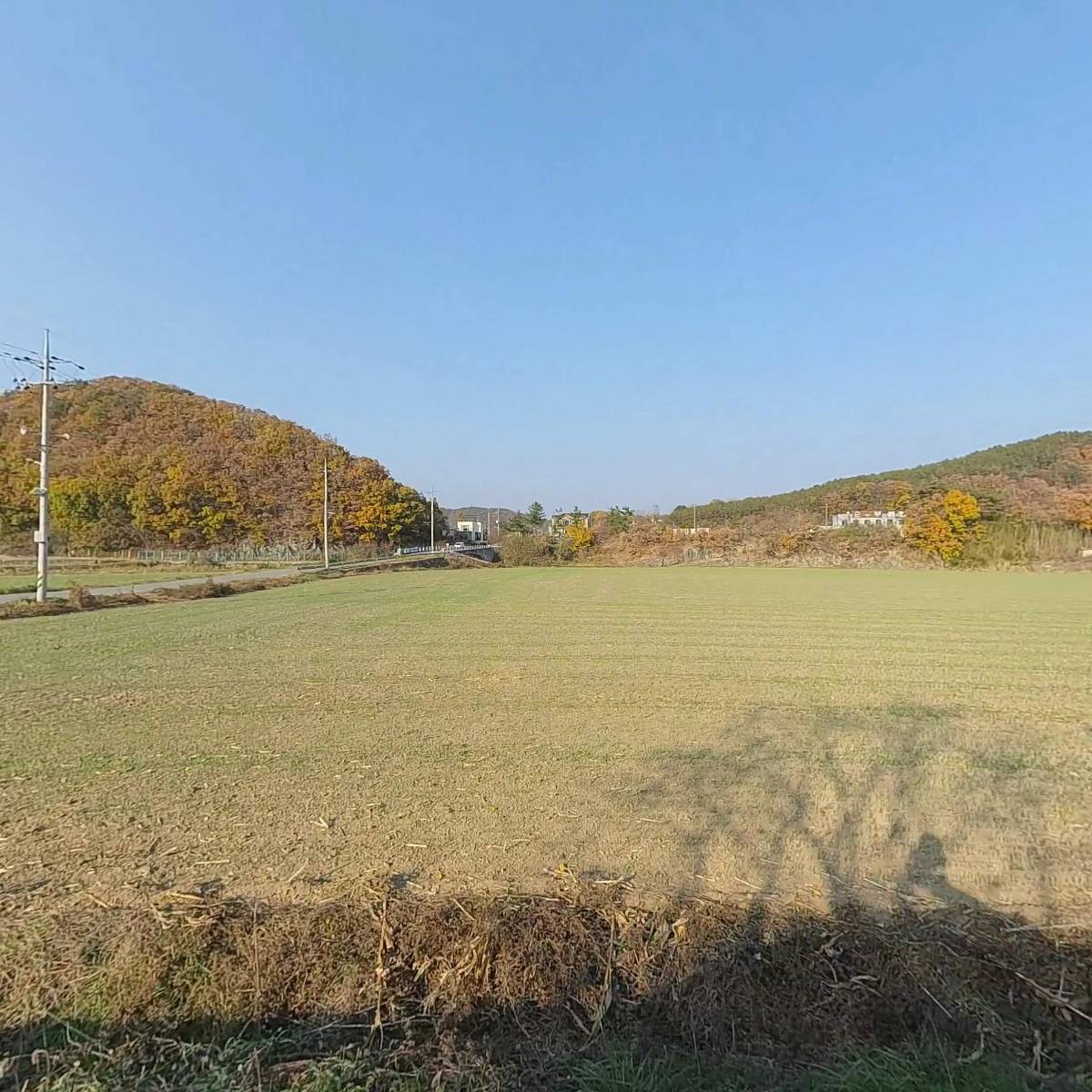 한국야생화 천아트_3