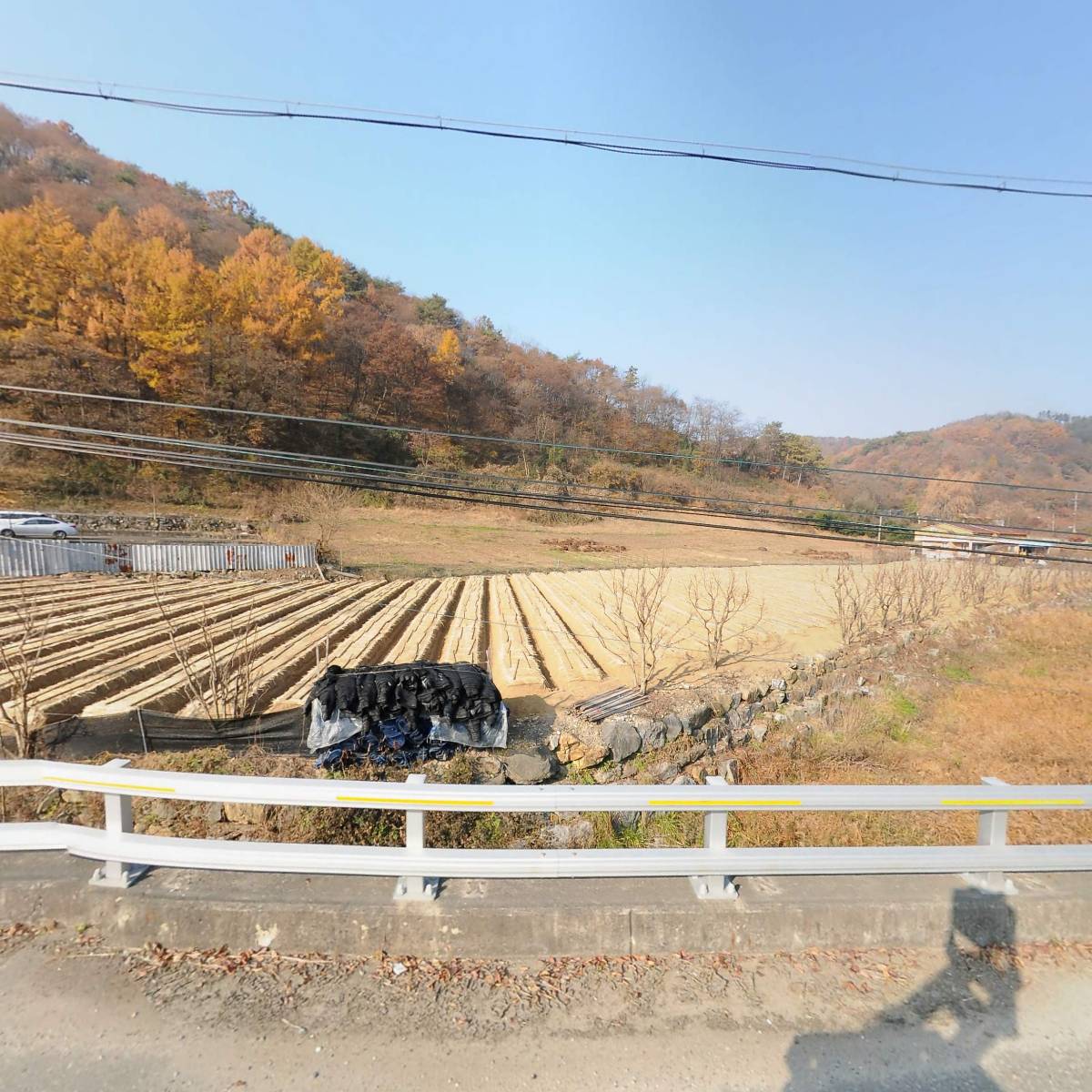 금산전문극단 비단길