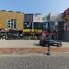 라이프 플랜트(LIFE PLANT)