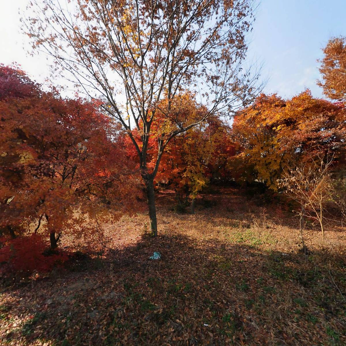 (주)중부중기