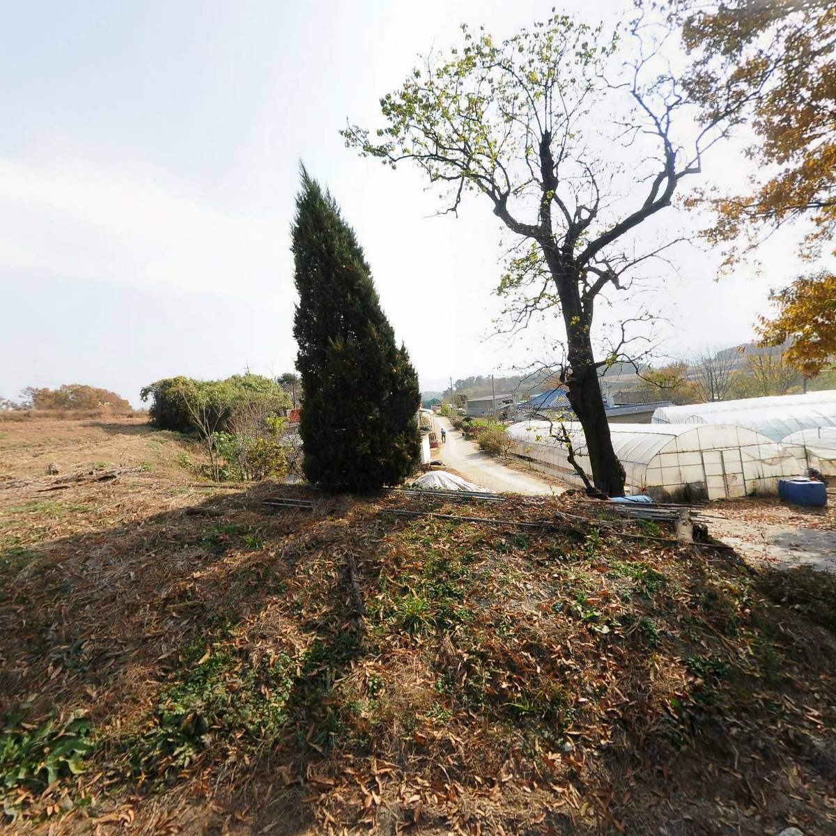 파랑새우리한우축산영농조합법인