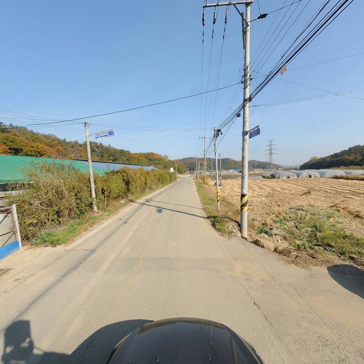 포항블루베리농원_4