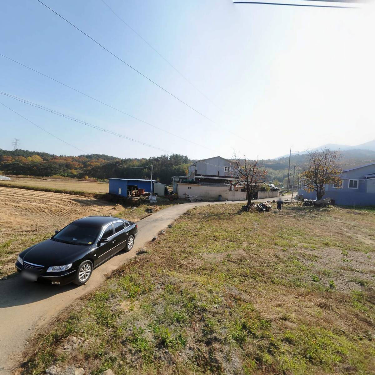포항블루베리농원