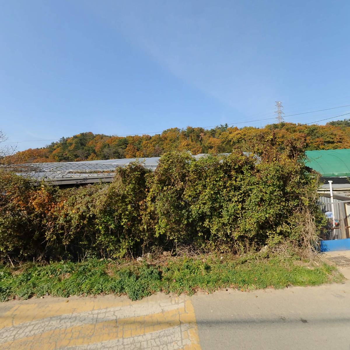 포항블루베리농원_3