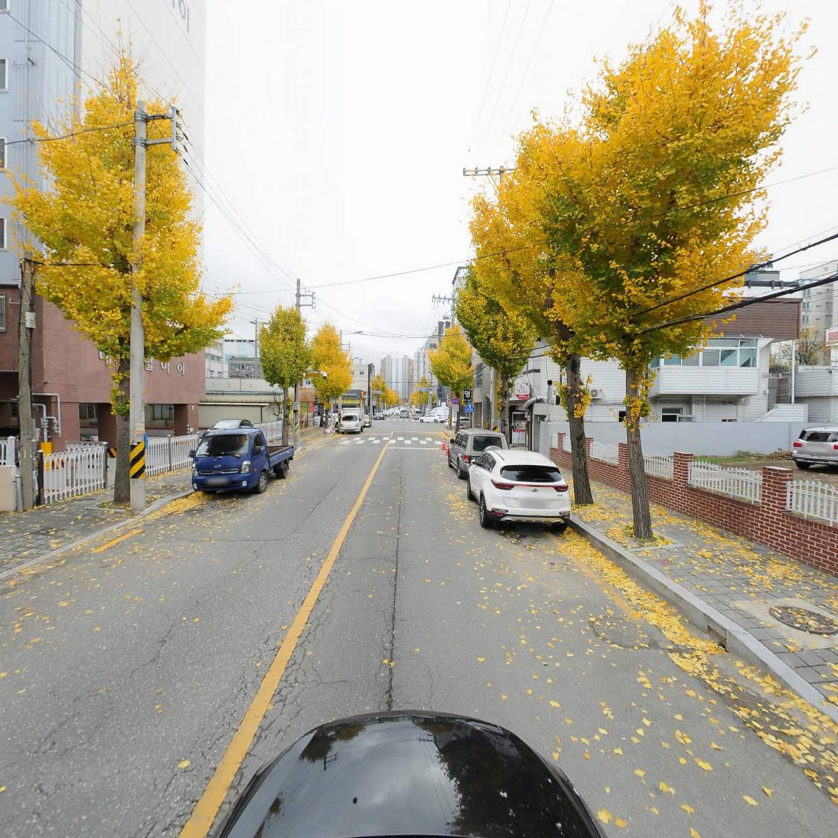 마임죽도공원지사_4