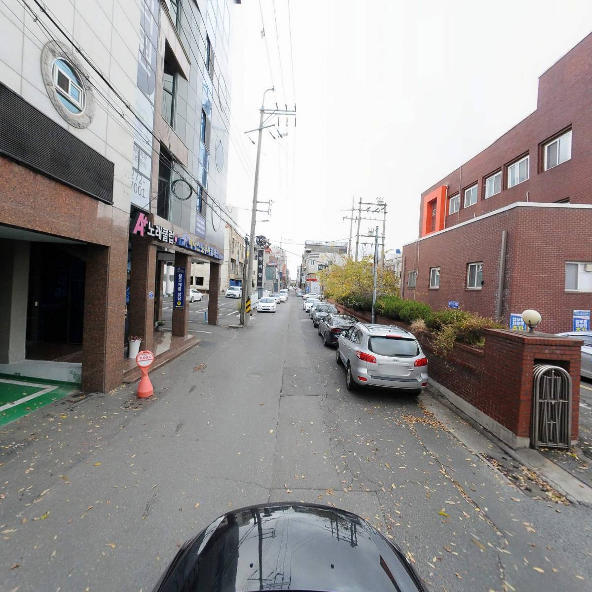 닥터노아동물병원_4