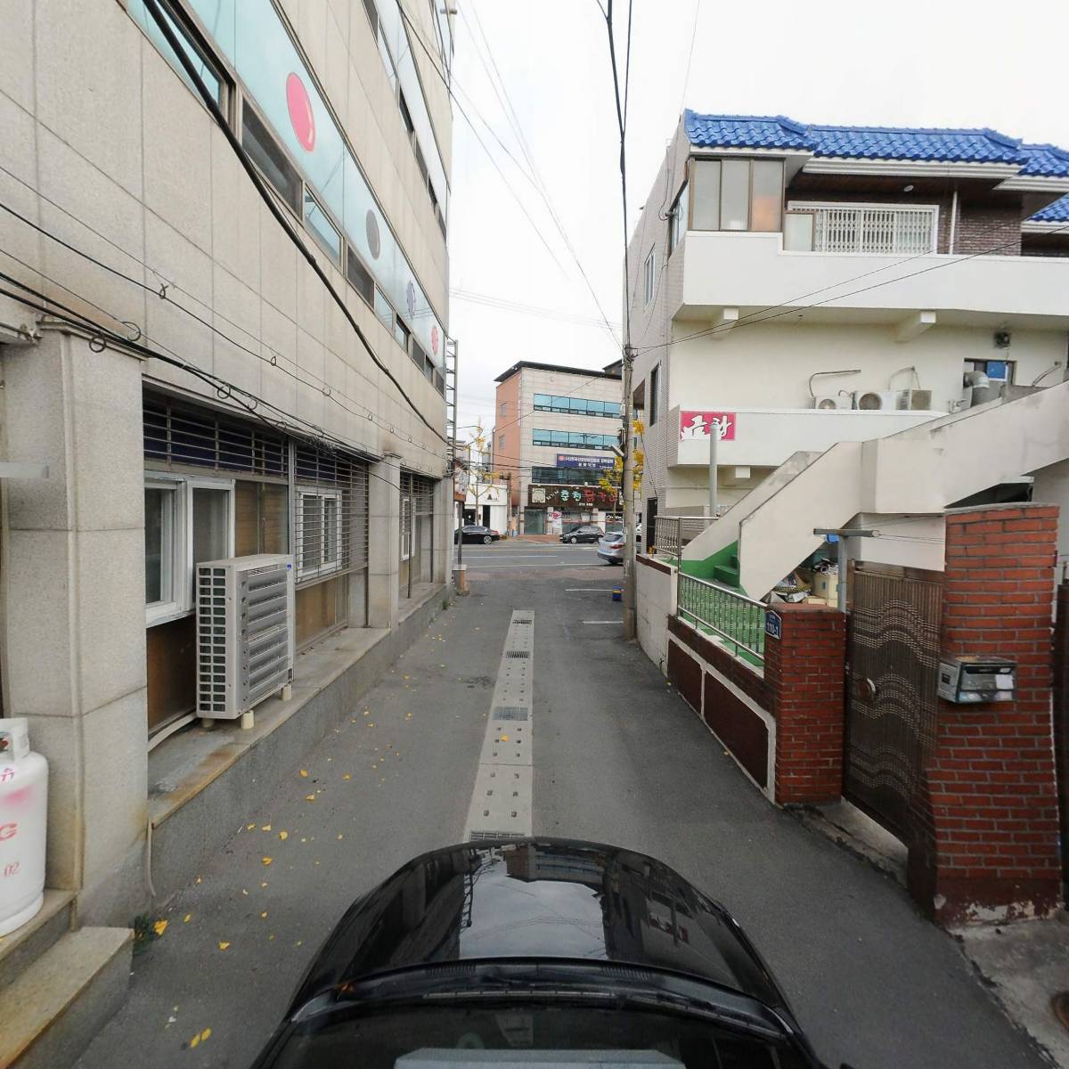 주식회사 금양_4
